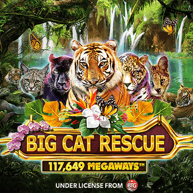 Big Cat Rescue MegaWays game icon