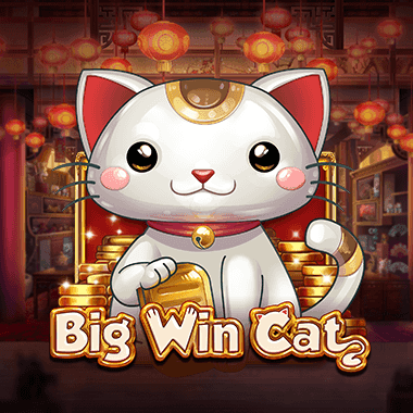 Big Win Cat game icon