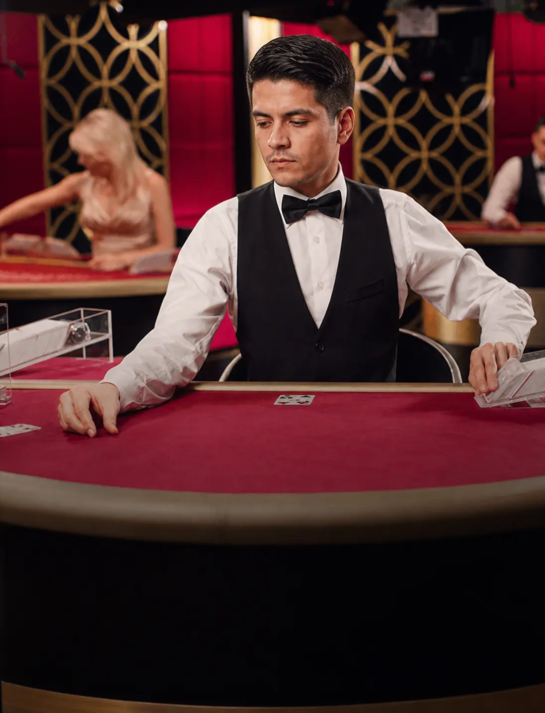Blackjack VIP 14 by Evolution