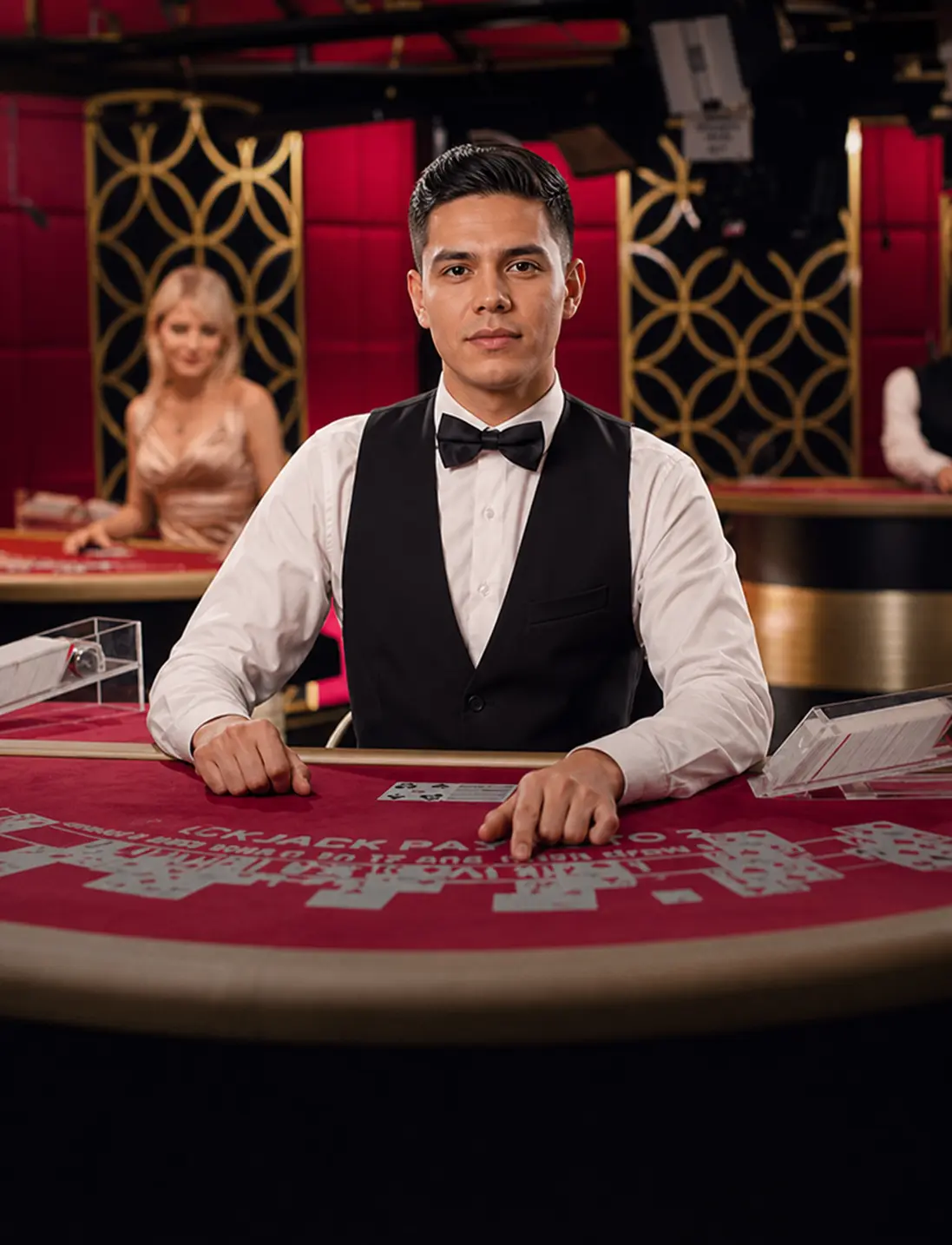 Blackjack VIP 19 by Evolution