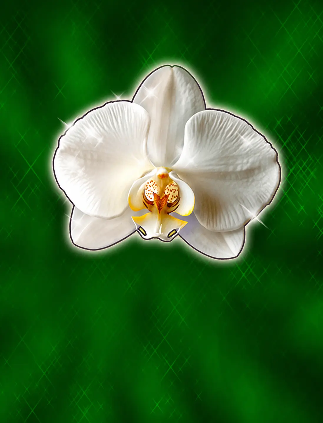 Burning Flower by Technology